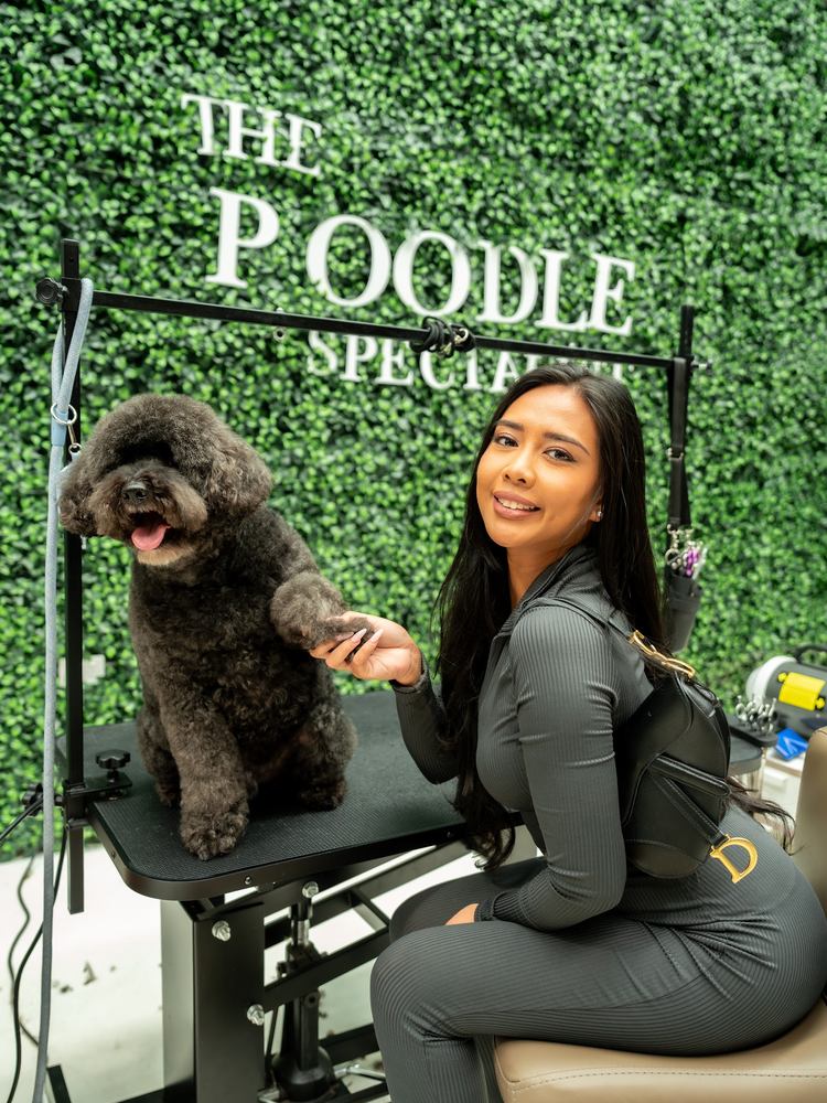 A smiling groomer seated beside a black poodle in front of The Poodle Specialist wall